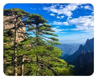 黃山市辦理POS機，POS機代理辦理個人刷卡機