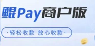 錢寶鯤pay結算505，支持大額支付寶